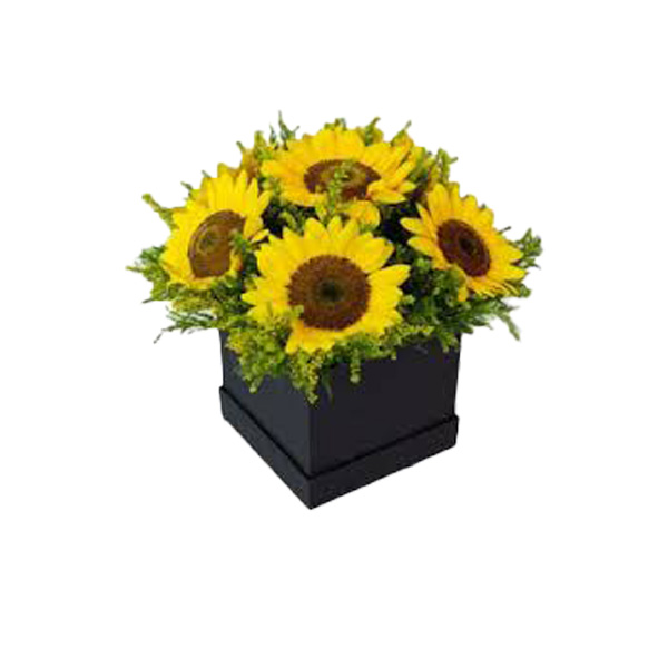 sunflower-box-